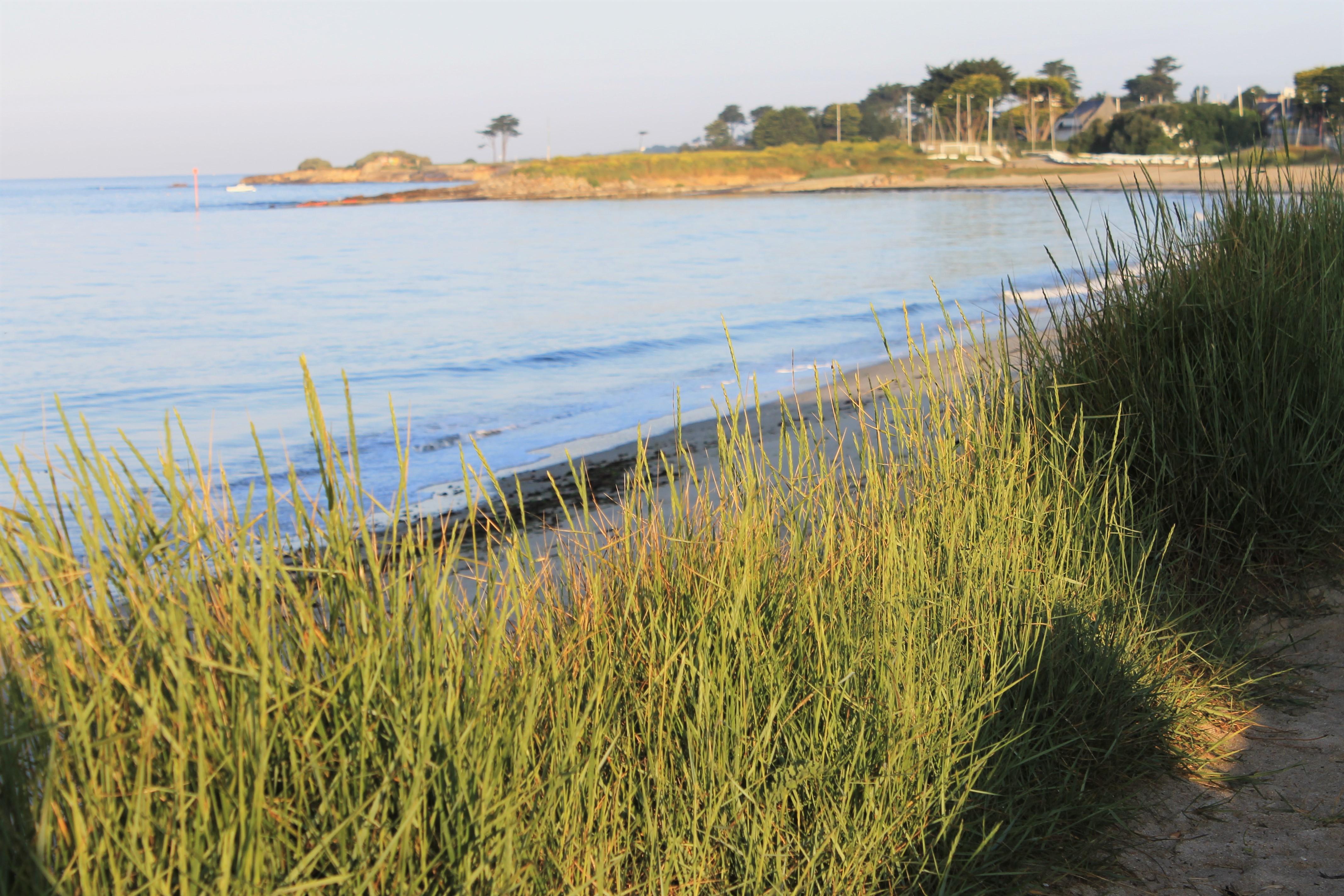 Logis Hotel & Restaurant Les Mouettes - Larmor Plage, Proche De Lorient المظهر الخارجي الصورة