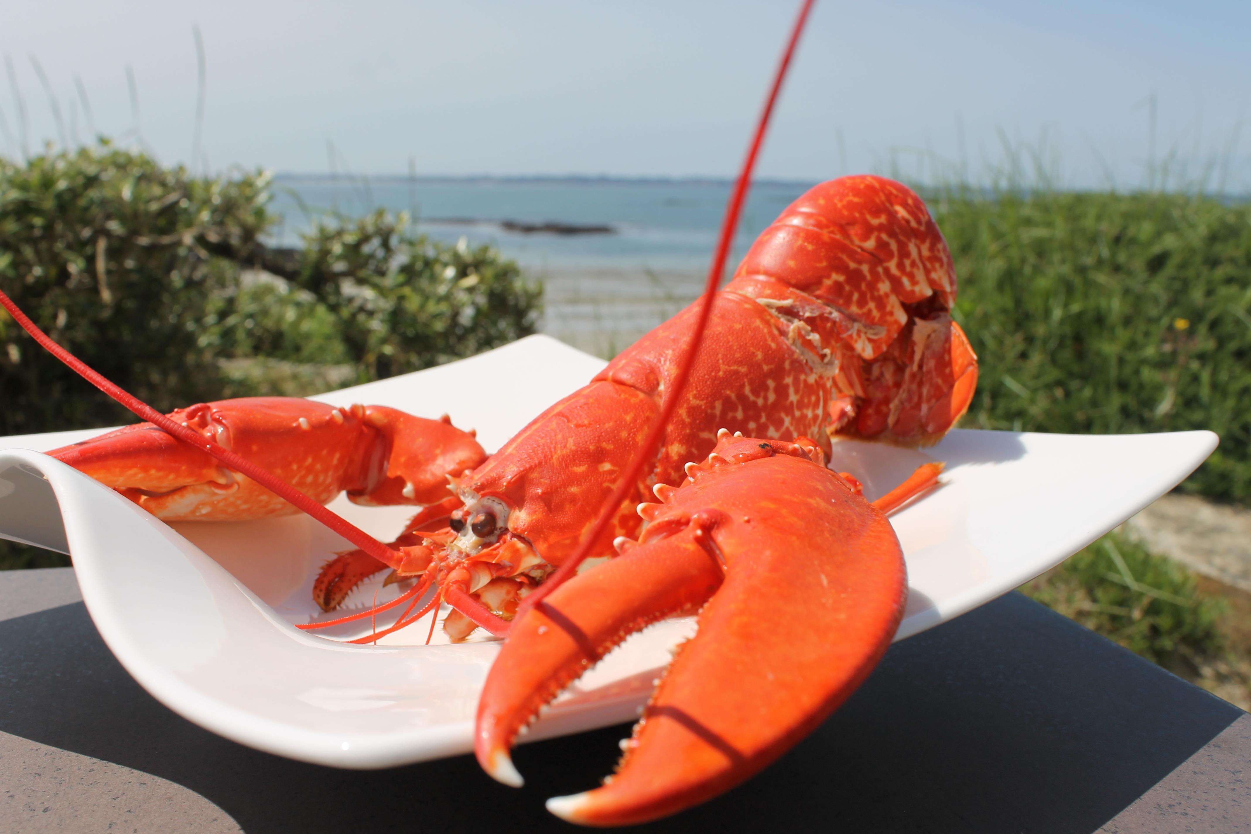 Logis Hotel & Restaurant Les Mouettes - Larmor Plage, Proche De Lorient المظهر الخارجي الصورة