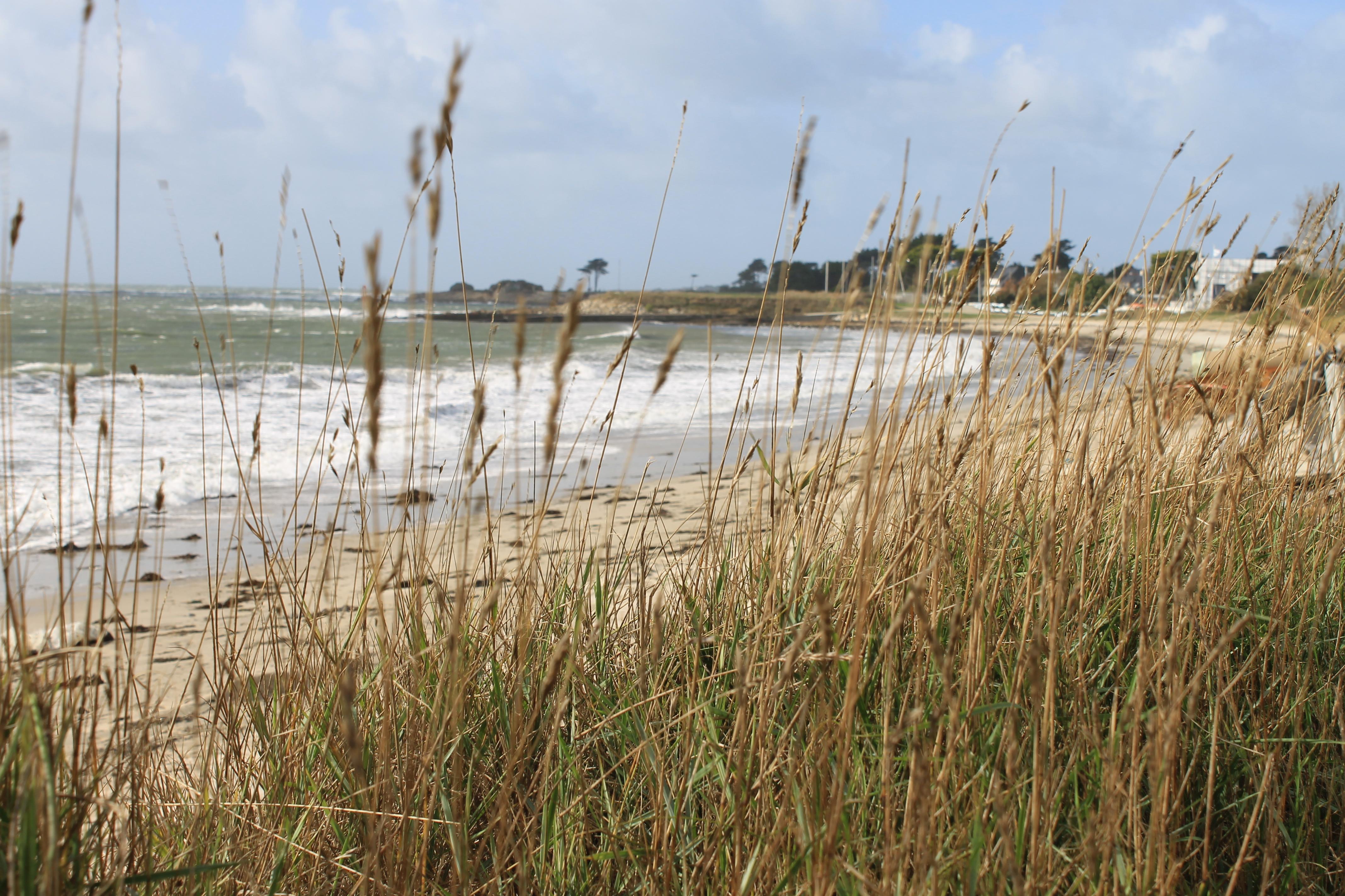 Logis Hotel & Restaurant Les Mouettes - Larmor Plage, Proche De Lorient المظهر الخارجي الصورة