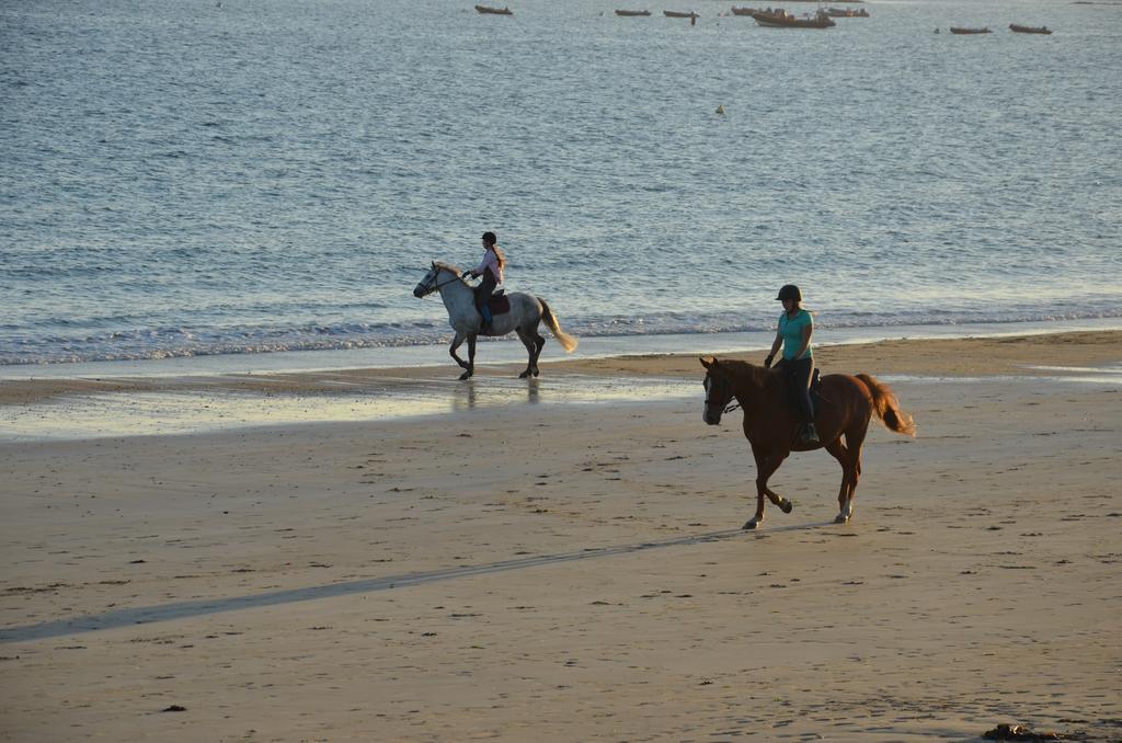 Logis Hotel & Restaurant Les Mouettes - Larmor Plage, Proche De Lorient المظهر الخارجي الصورة