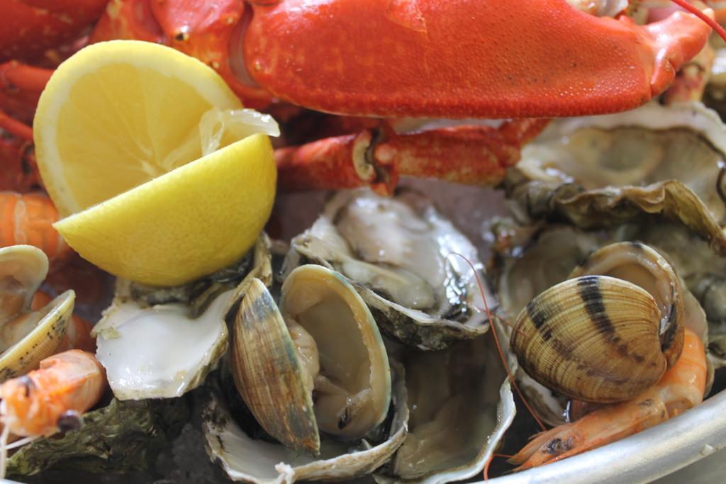 Logis Hotel & Restaurant Les Mouettes - Larmor Plage, Proche De Lorient المظهر الخارجي الصورة